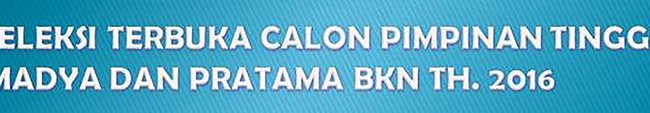 Seleksi Jabatan Pimpinan Tinggi Madya dan Pratama Badan Kepegawaian Negara Seleksi Jabatan Pimpinan Tinggi Madya dan Pratama Badan Kepegawaian Negara